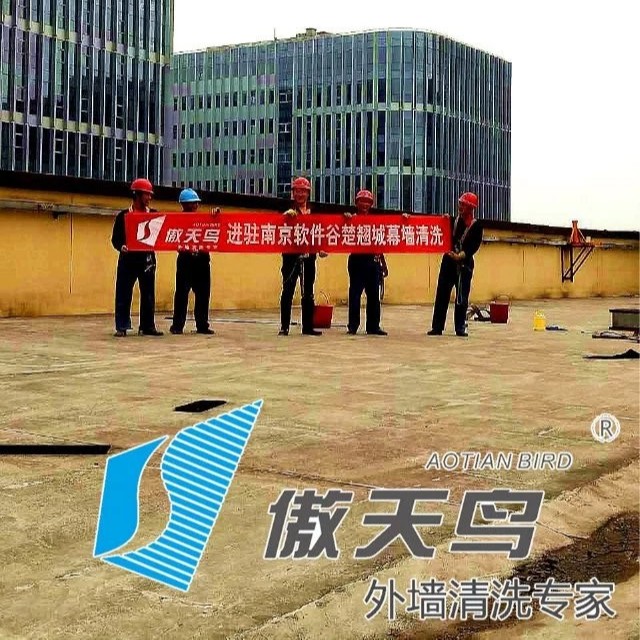 南京軟件谷楚翹城