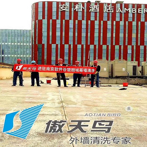 南京軟件谷楚翹城